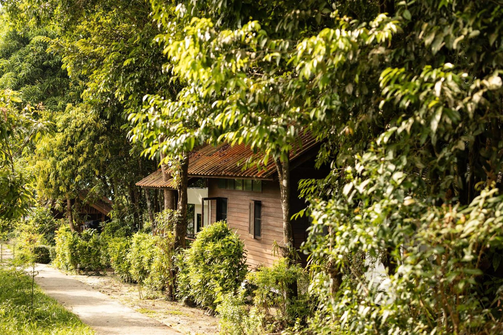 Barefoot Project Formerly Baan Klong Kleng Koh Phayam Eksteriør bilde